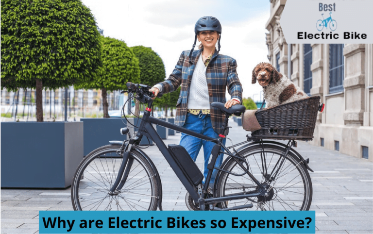 Why are Electric Bikes so Expensive