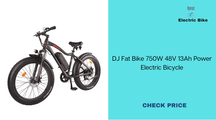 DJ Fat Bike 750w 48v 13Ah Power Electric Bike