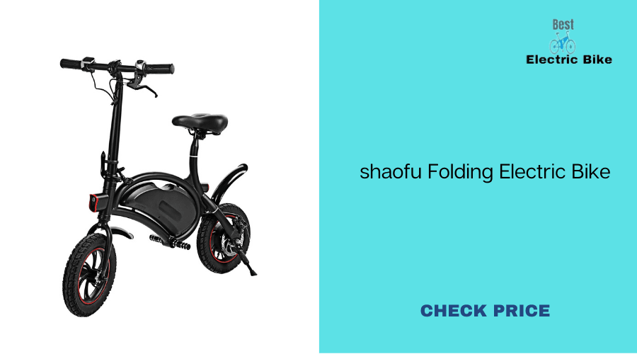 Shaofu Folding Waterproof Electric Bicycle