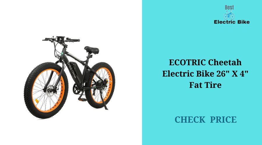 ECOTRIC Cheetah Electric Bike 26 X 4 Fat Tire